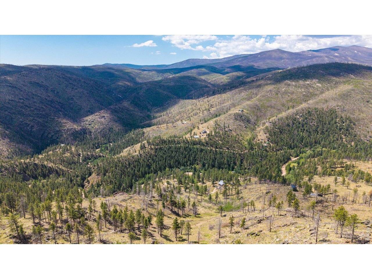693 Cougar, Bellvue, CO 80512