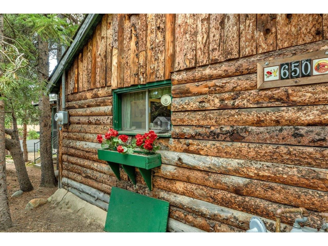 650 W Pine, Nederland, CO 80466