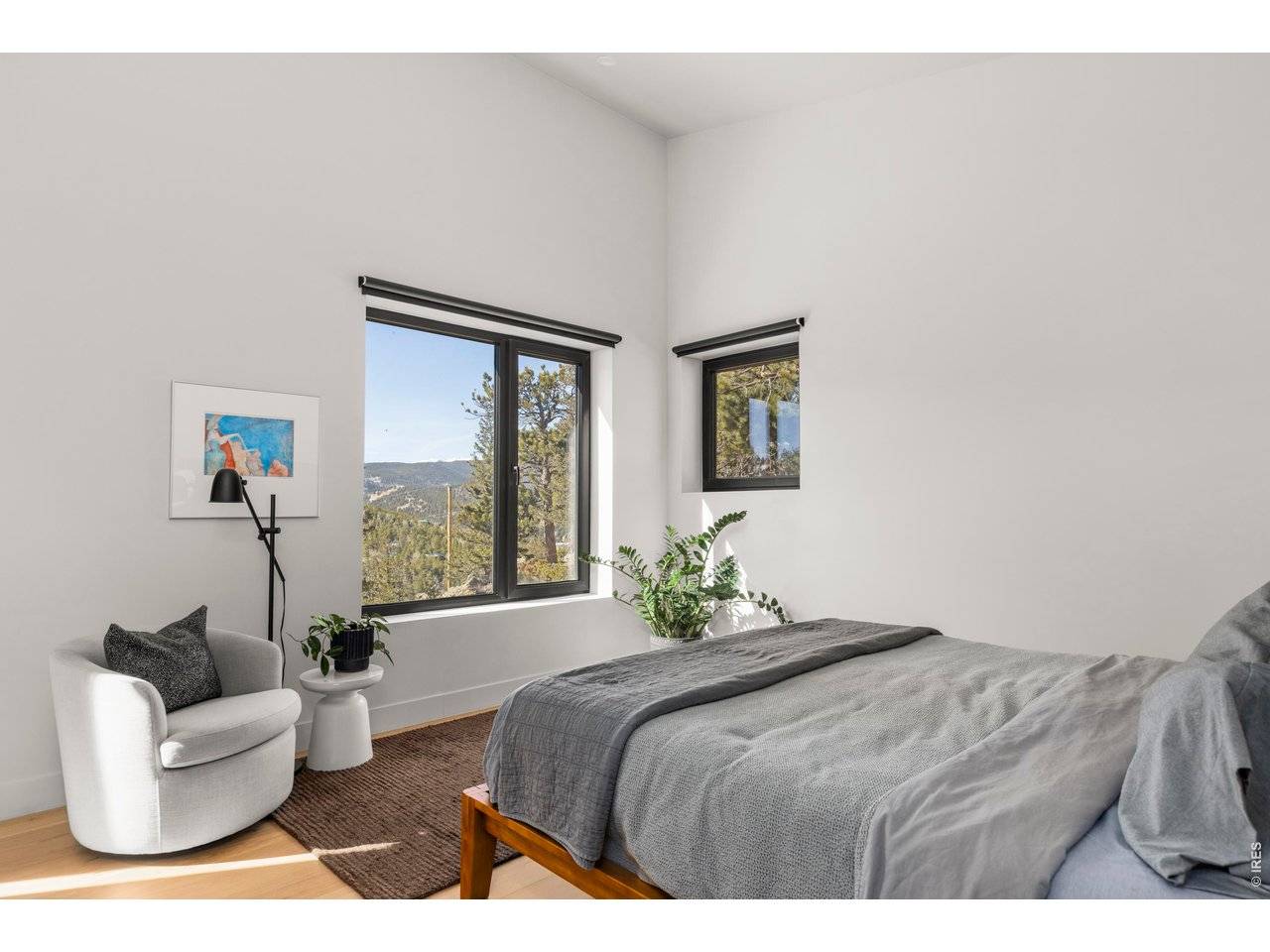 103 W Wildewood, Nederland, CO 80466