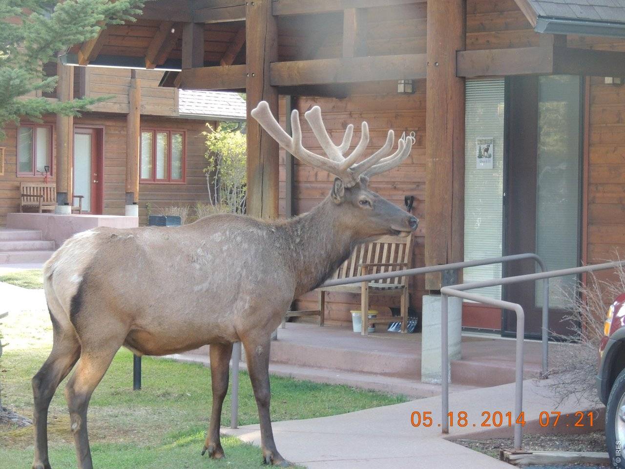1565 Highway 66 ##49, Estes Park, CO 80517
