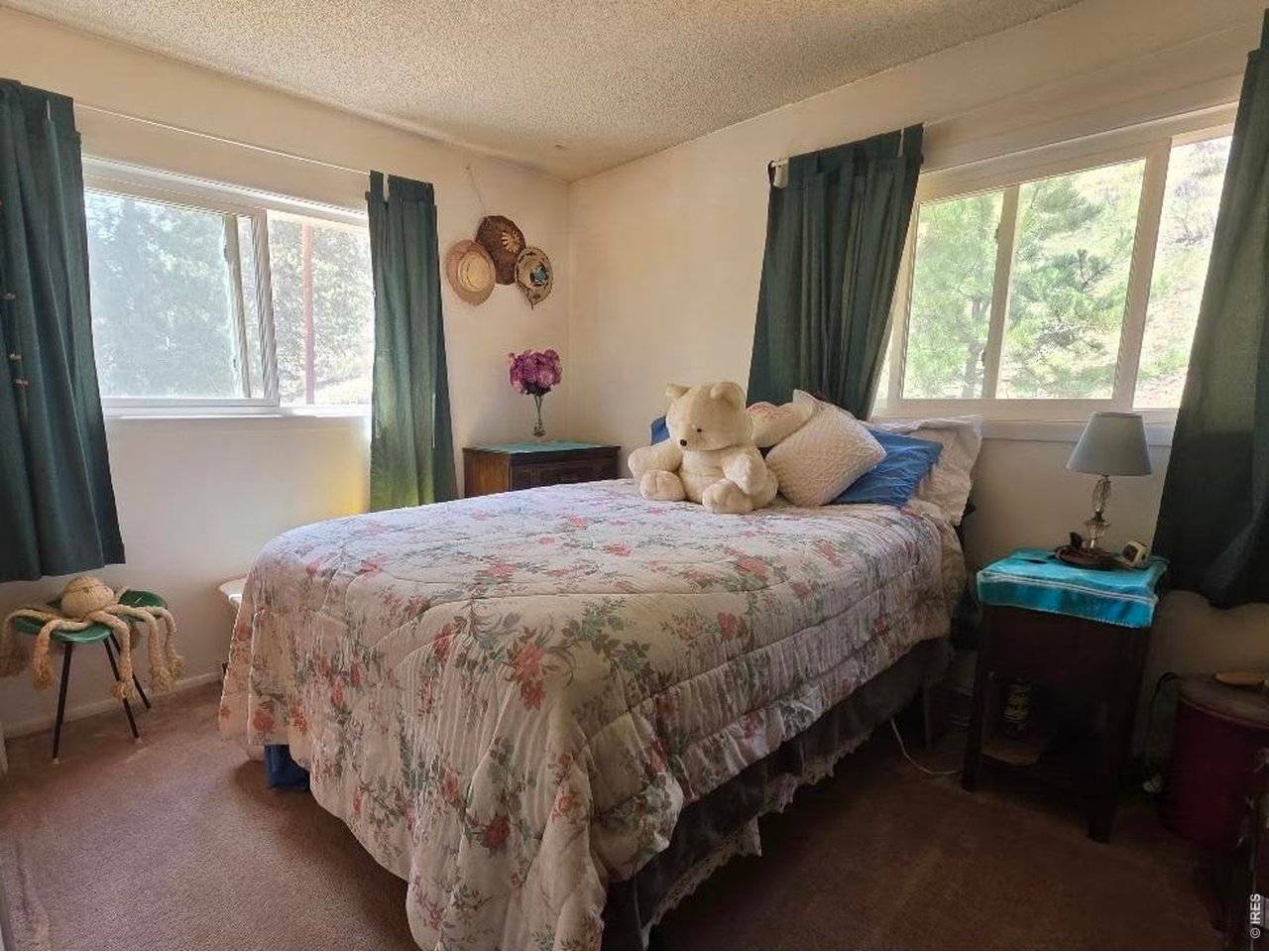 135 Brookside, Bailey, CO 80421