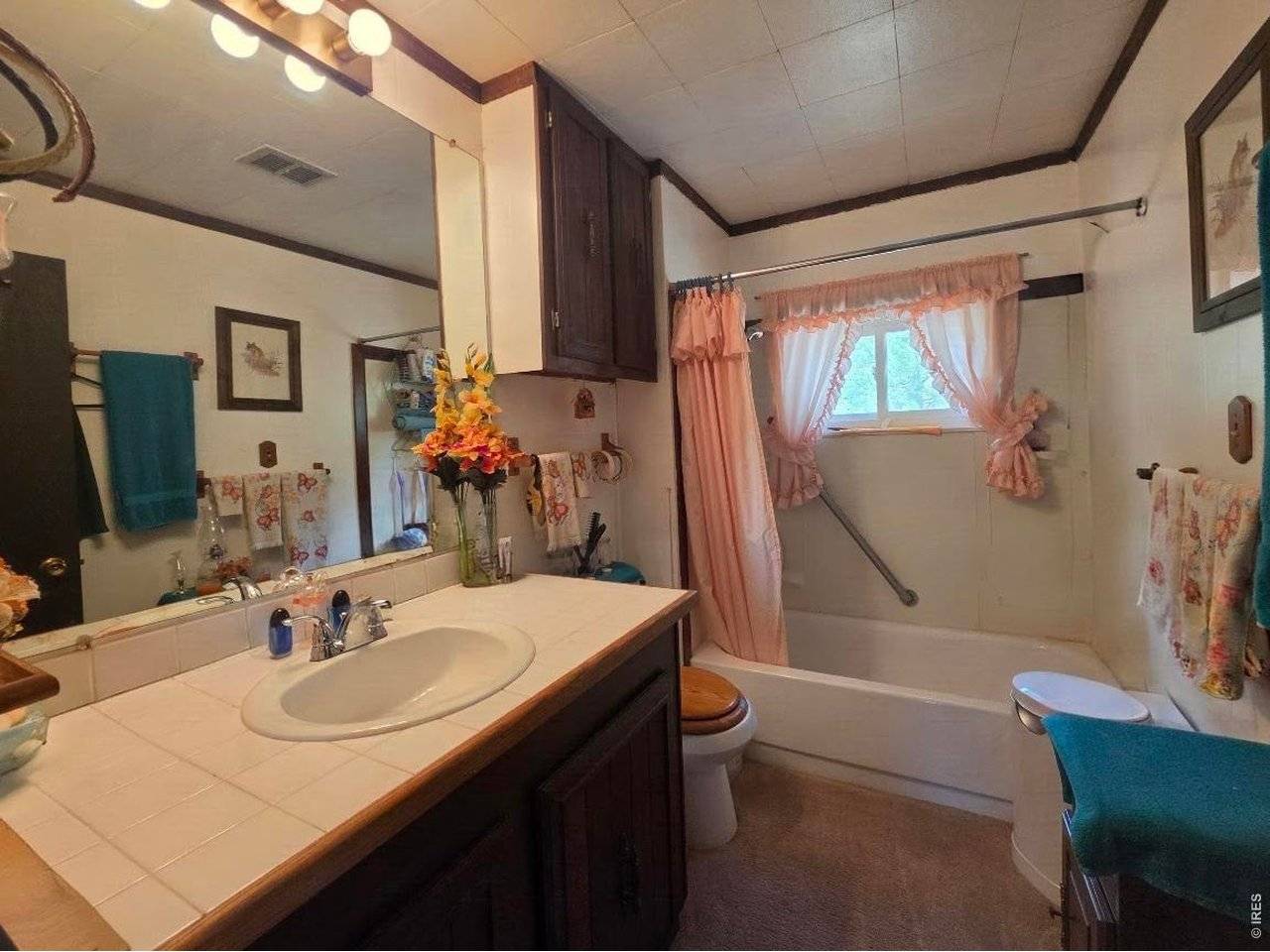 135 Brookside, Bailey, CO 80421