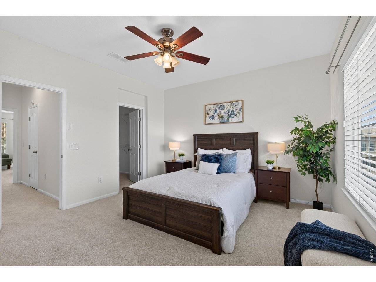 789 Bristle Pine #C, Highlands Ranch, CO 80129