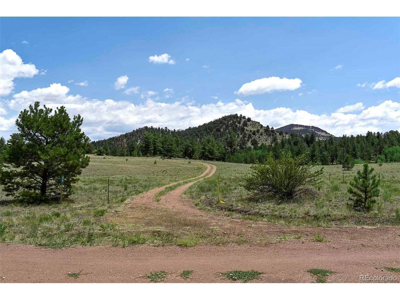 376 Copeland, Guffey, CO 80820