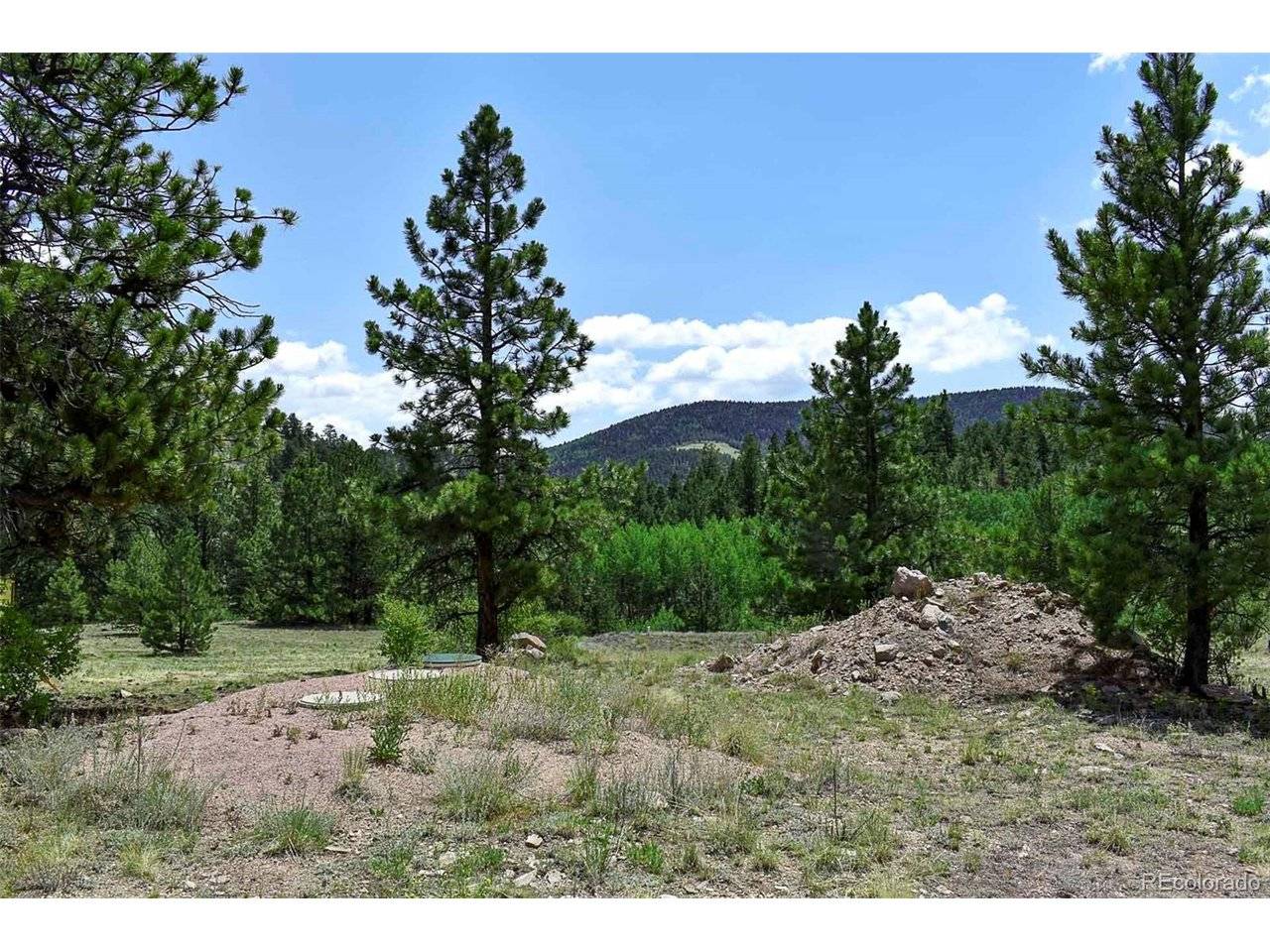 376 Copeland, Guffey, CO 80820