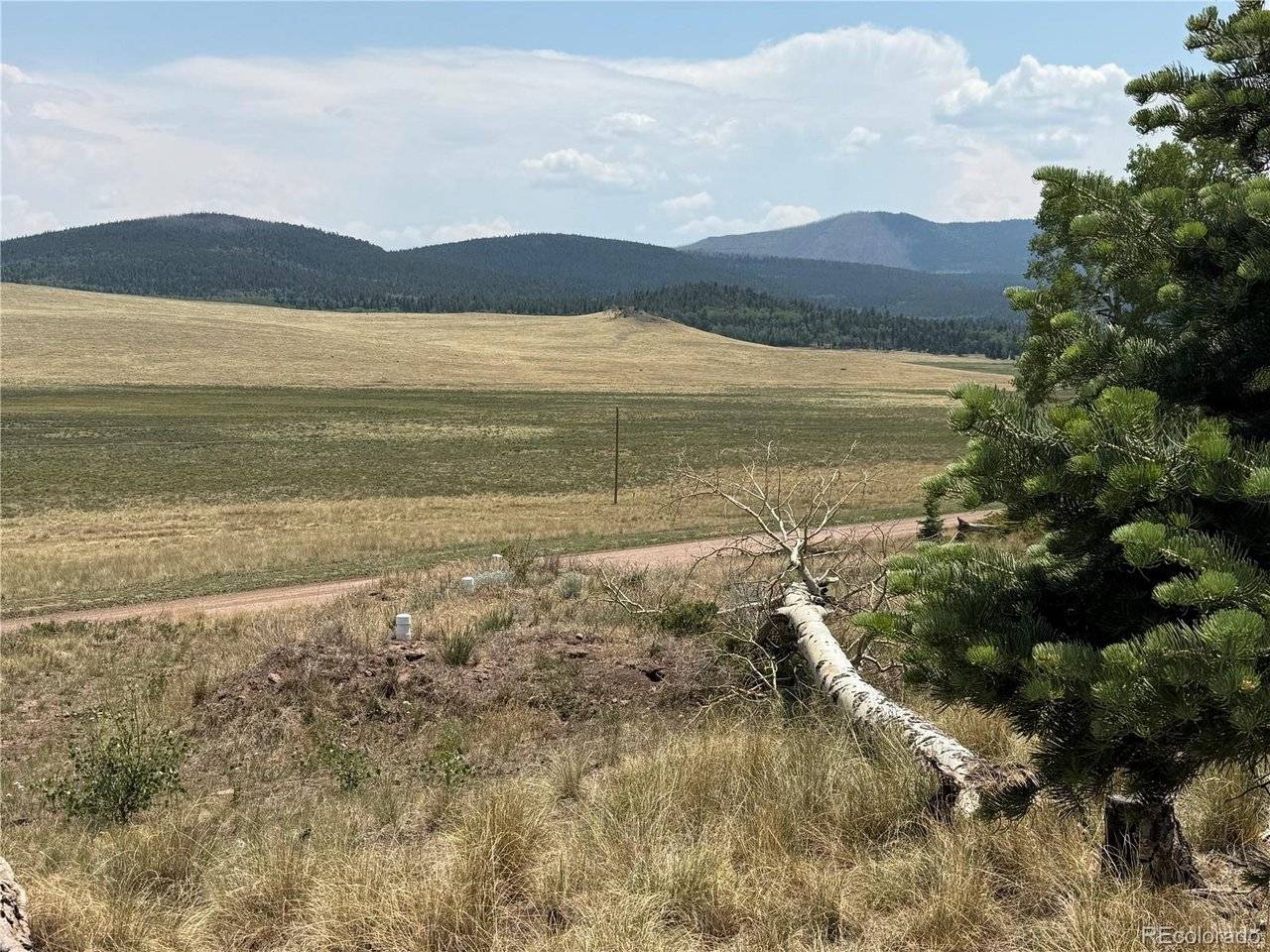 2357 Benton, Fort Garland, CO 81133