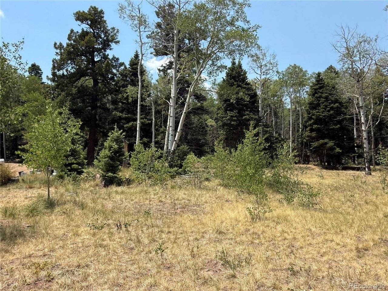 2357 Benton, Fort Garland, CO 81133
