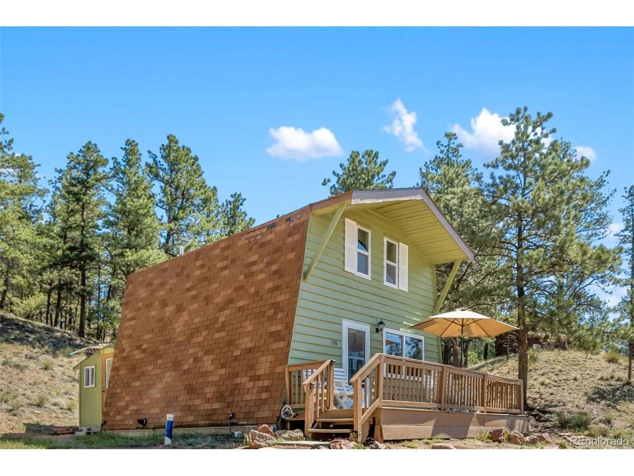 301 Circle, Florissant, CO 80816