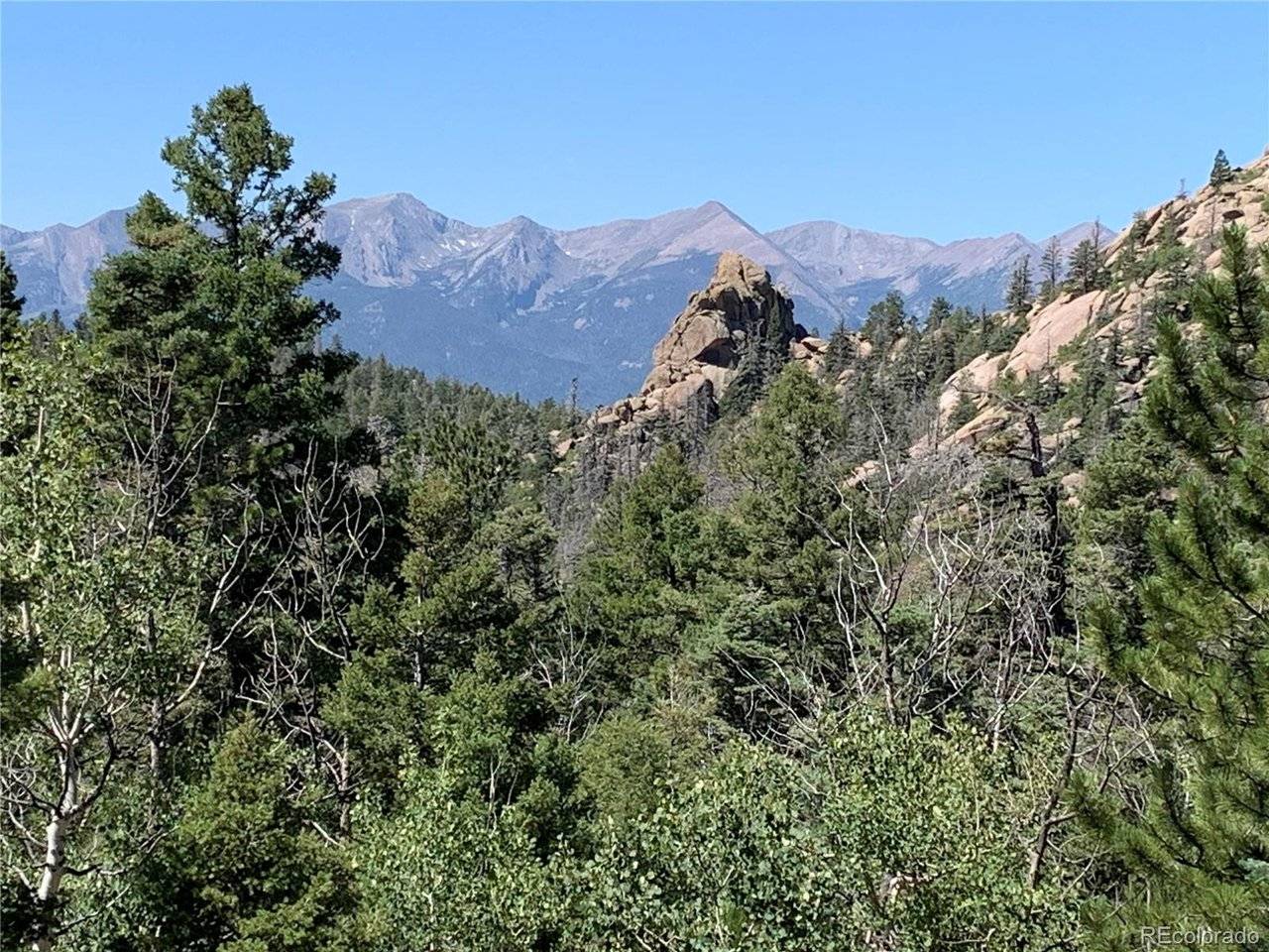 54 Oak, Cotopaxi, CO 81223