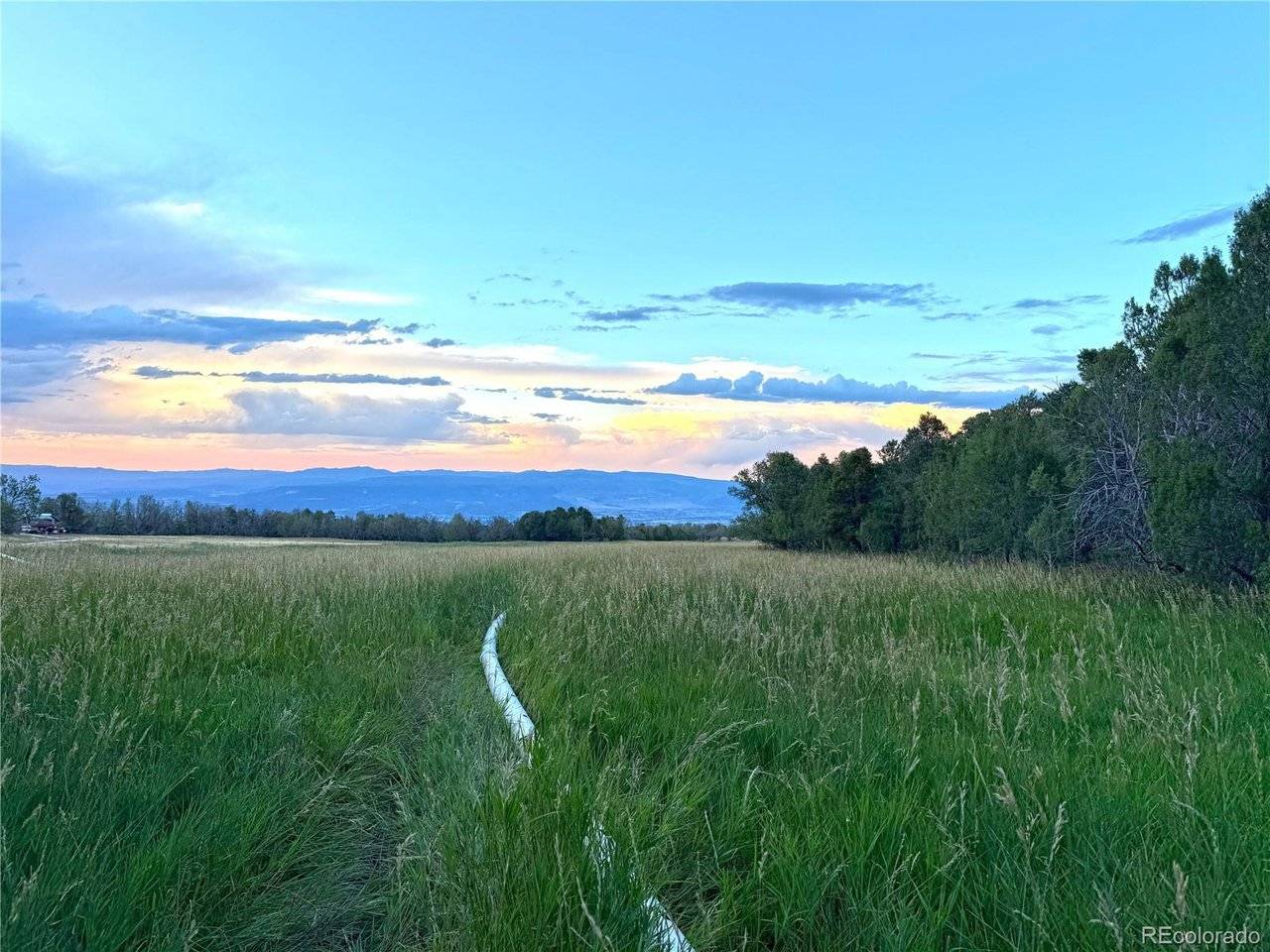 34706 Fruitland Mesa, Crawford, CO 81415