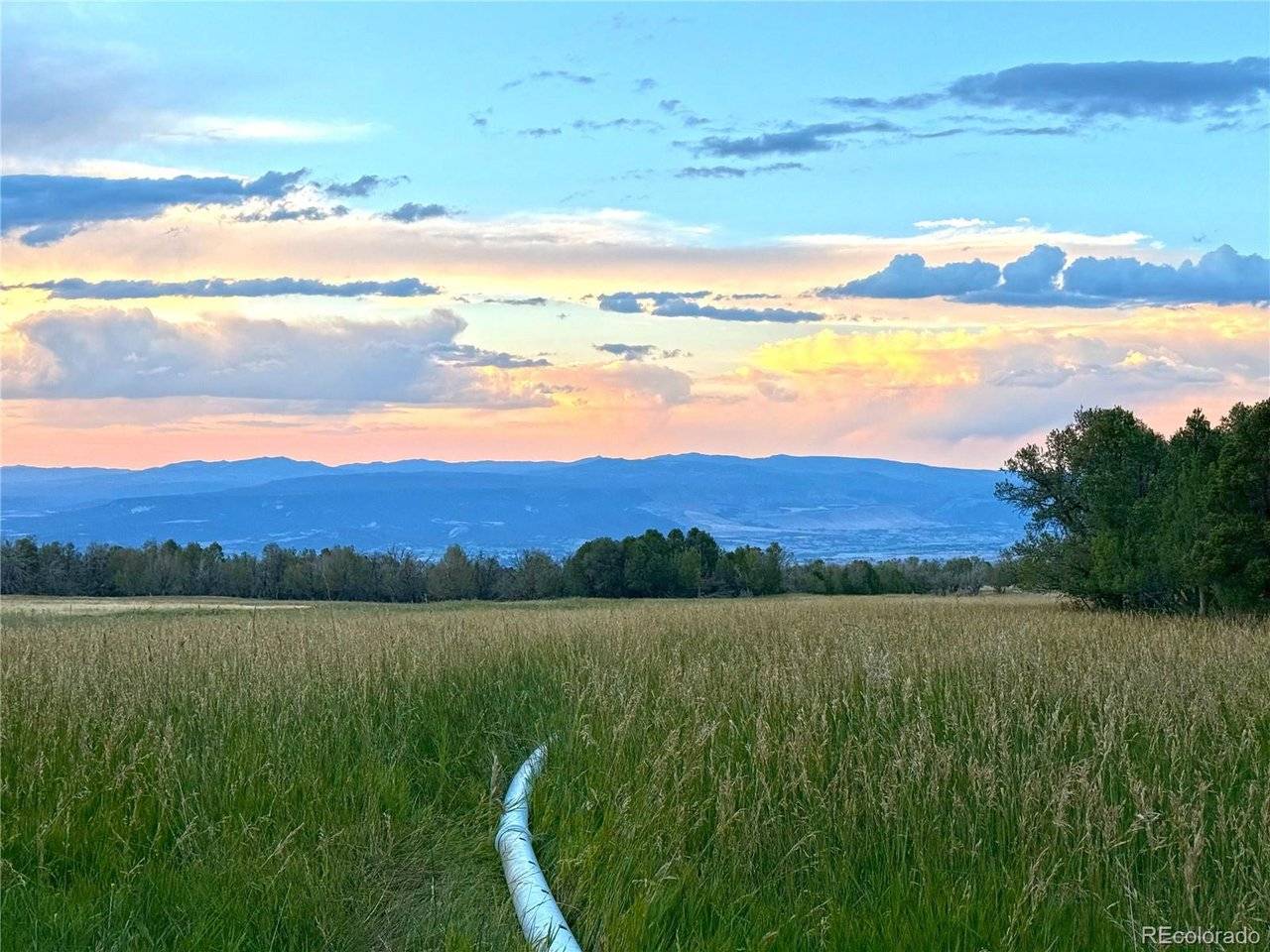 34706 Fruitland Mesa, Crawford, CO 81415