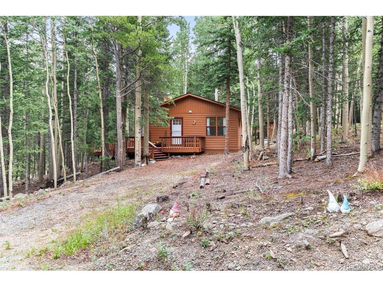31 Aspen Loop, Idaho Springs, CO 80452