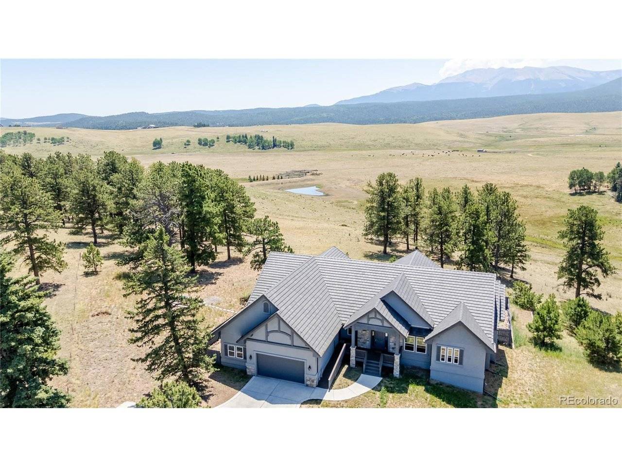 407 Silvermoon, Divide, CO 80814
