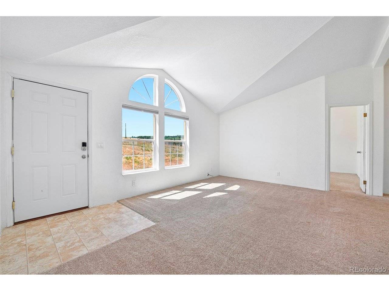267 Longbow, Divide, CO 80814
