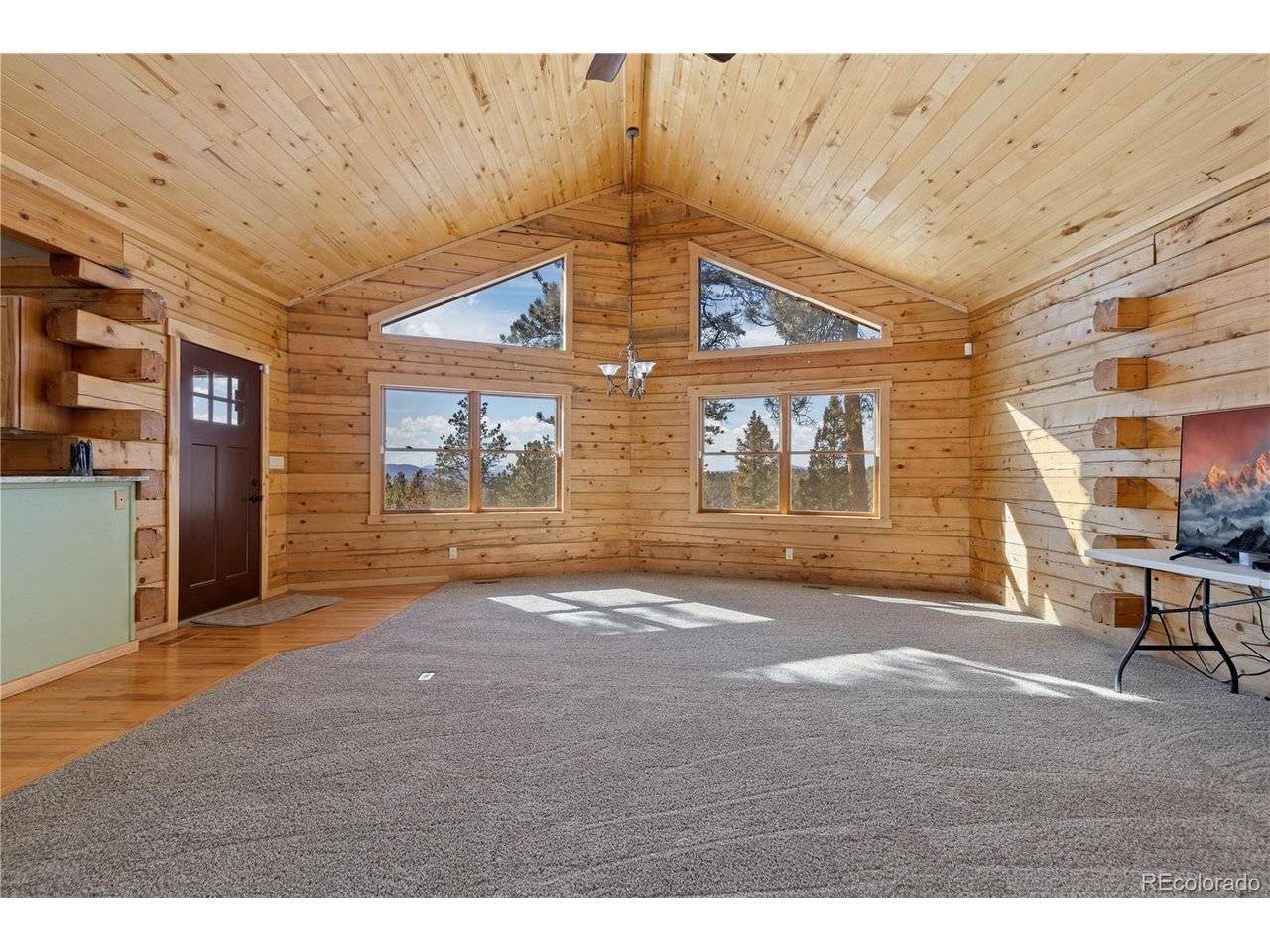 1910 Wildhorn, Florissant, CO 80816