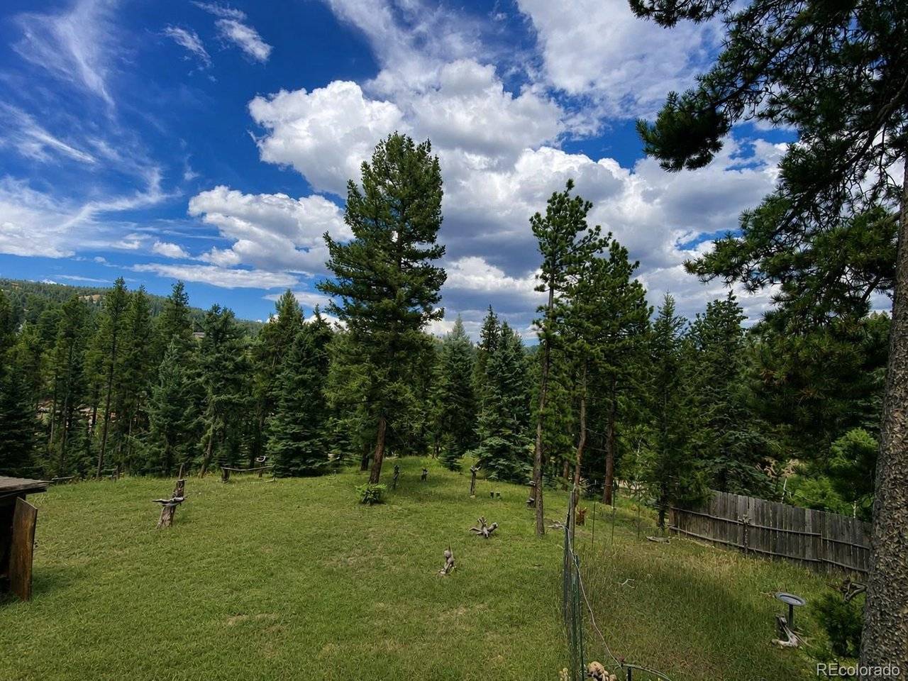 11957 Elk Trail, Conifer, CO 80433