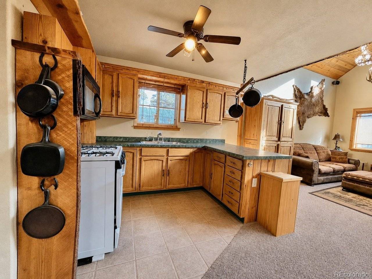 10401 Windy Ridge Rd, Aguilar, CO 81020