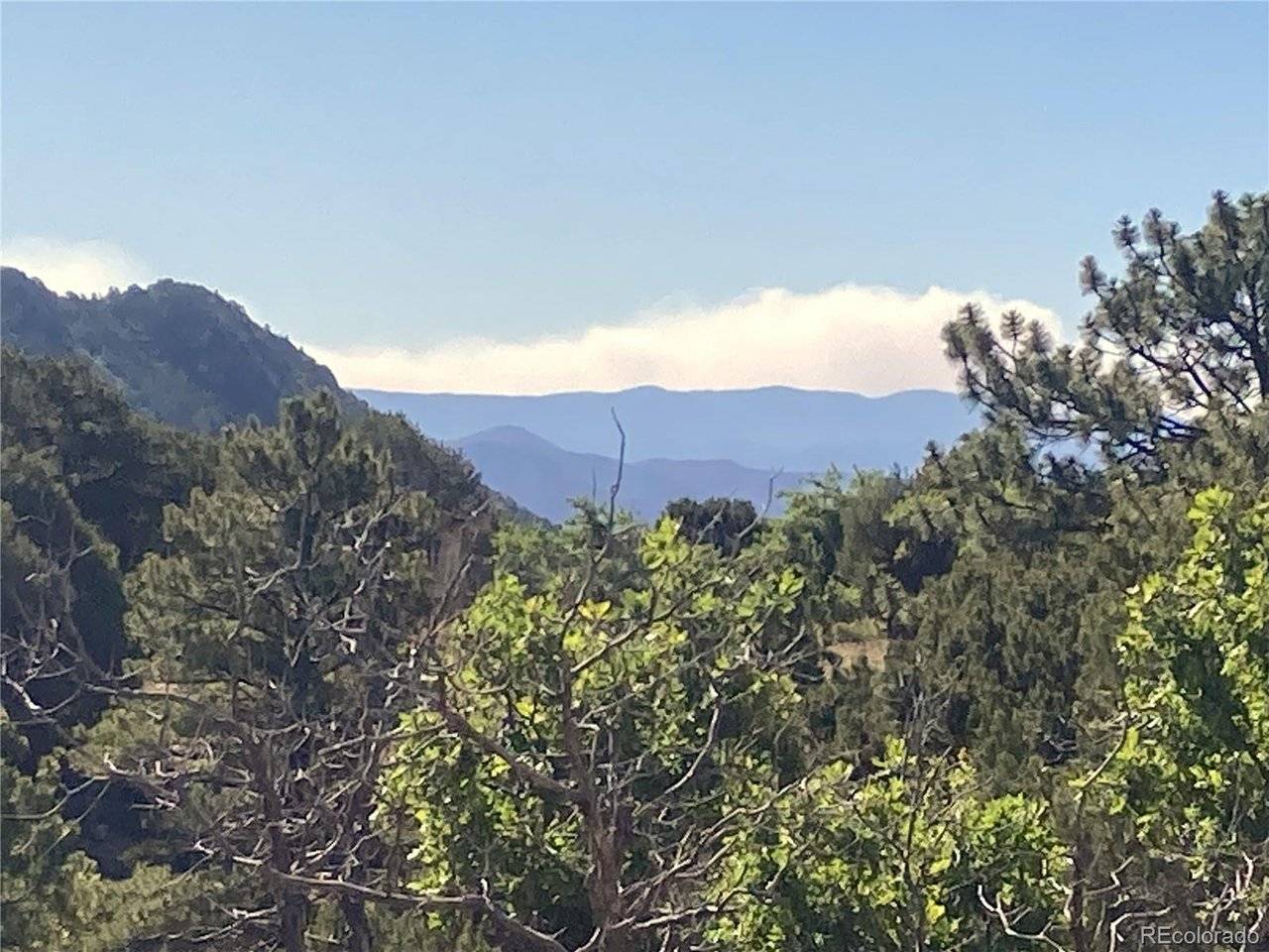 136 Burnt Timber, Cotopaxi, CO 81223