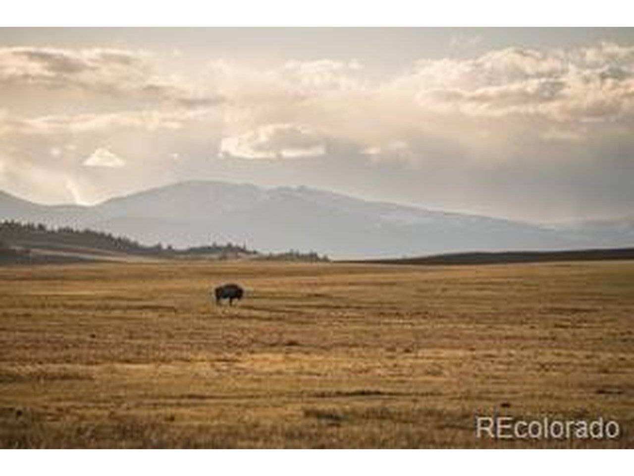 33185 Highway 9, Hartsel, CO 80449