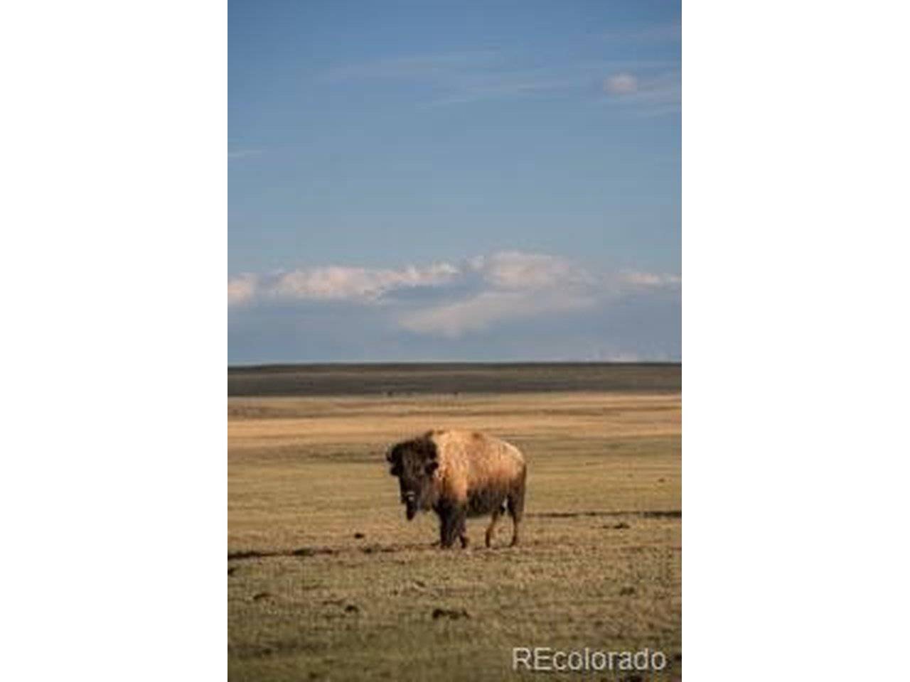 33185 Highway 9, Hartsel, CO 80449