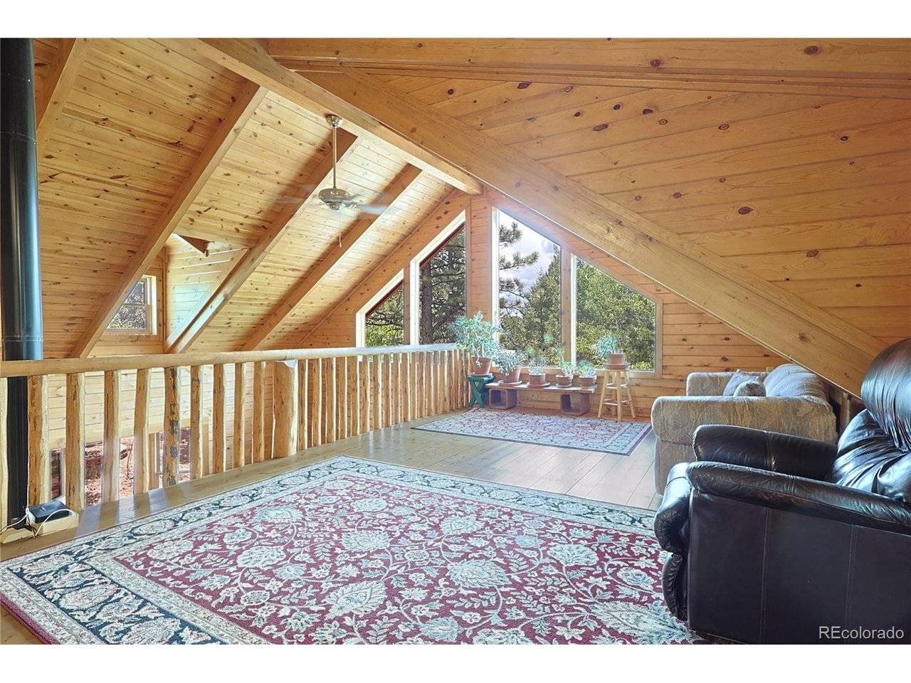 5527 County Road 5, Divide, CO 80814
