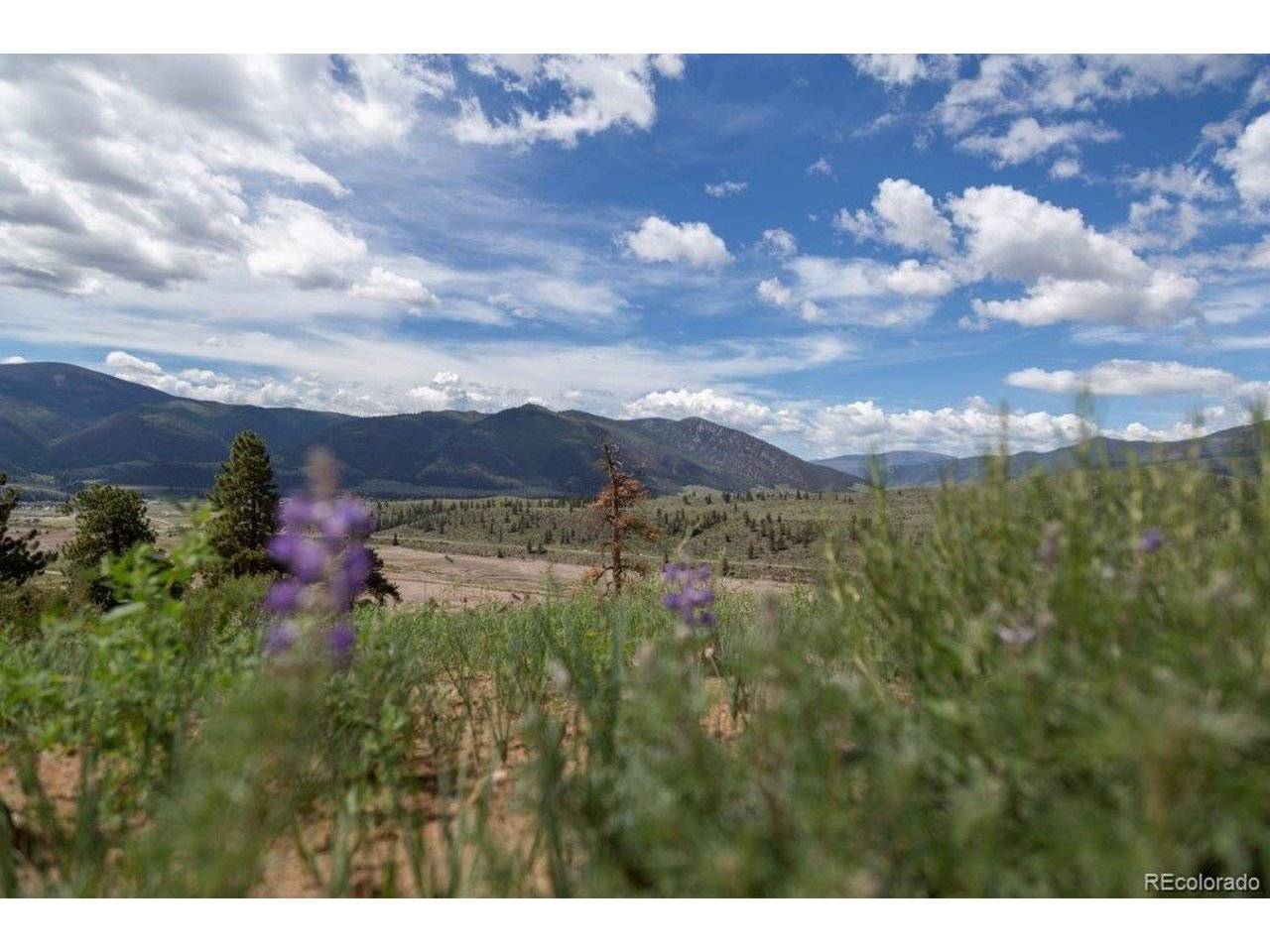 Address not disclosed, Creede, CO 81130
