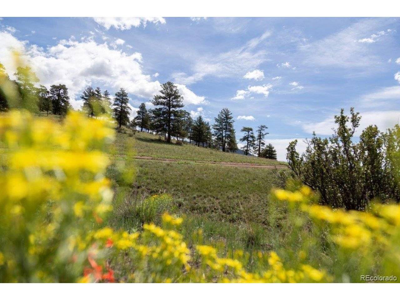 Address not disclosed, Creede, CO 81130