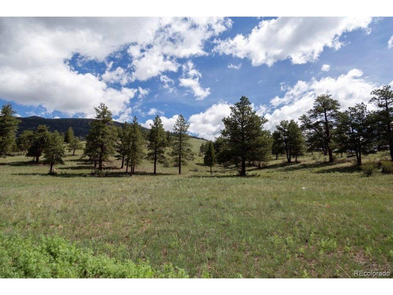 Address not disclosed, Creede, CO 81130