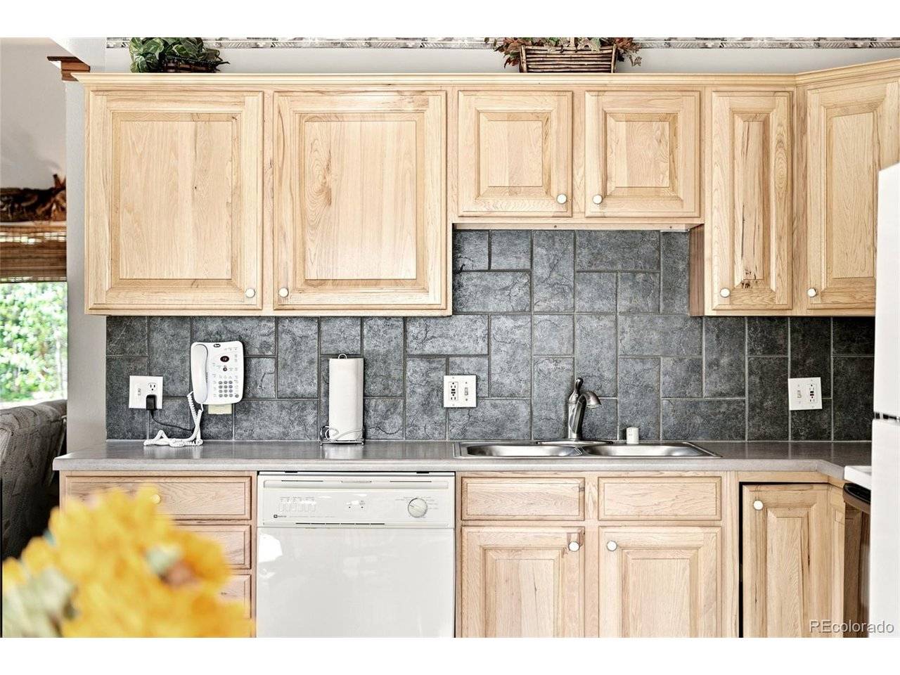 271 Willow, Alma, CO 80420