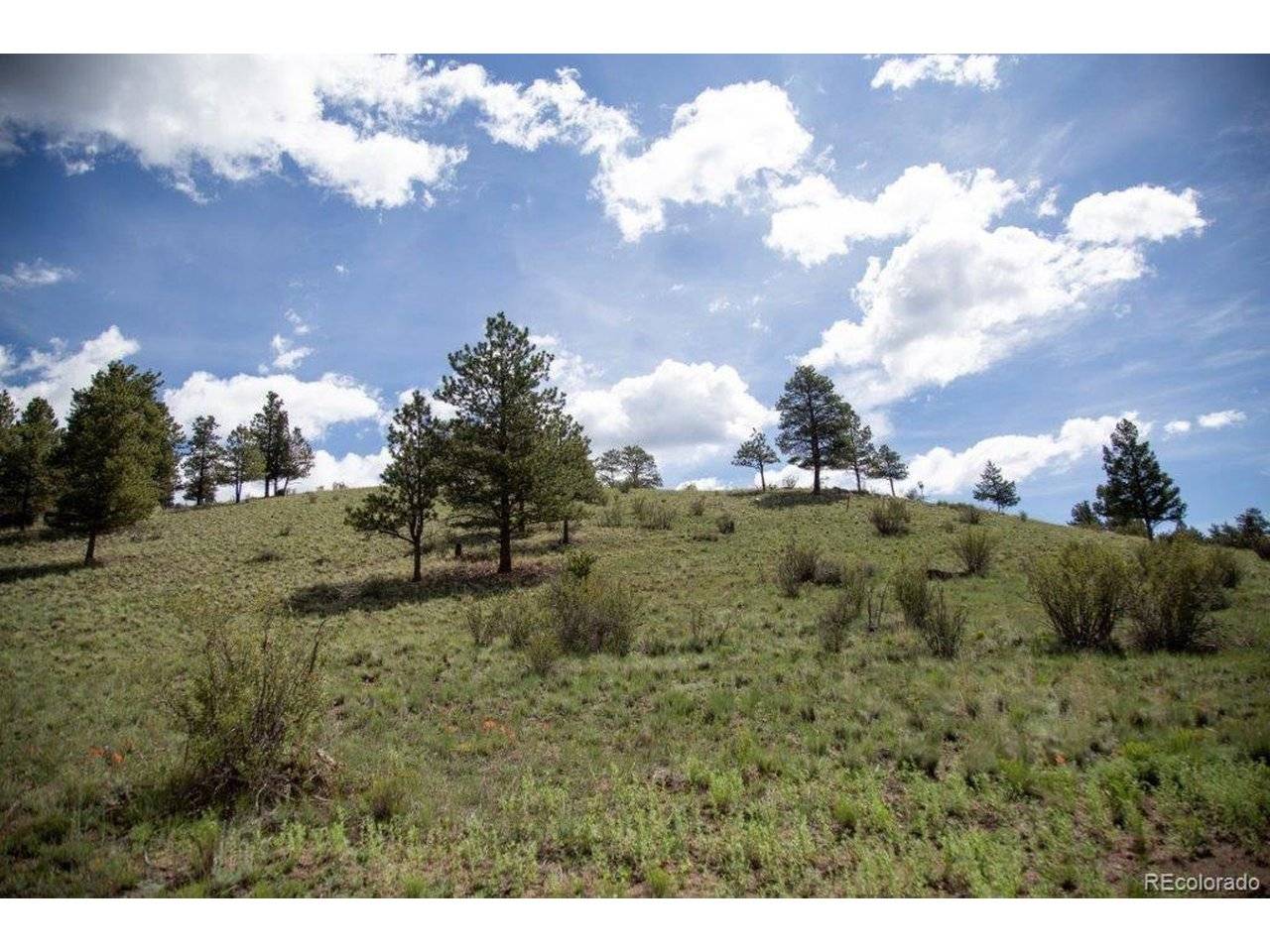 Address not disclosed, Creede, CO 81130