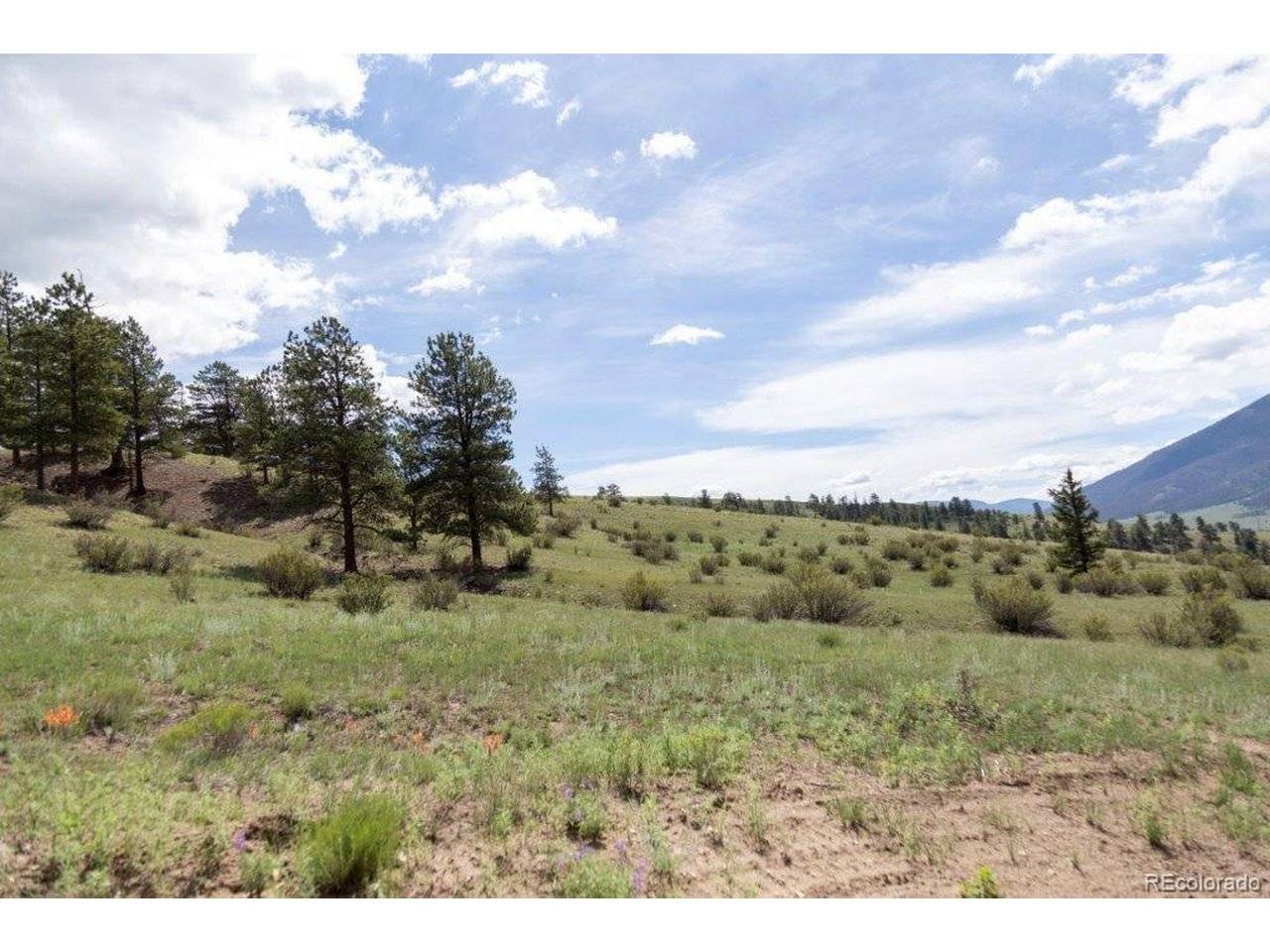 Address not disclosed, Creede, CO 81130