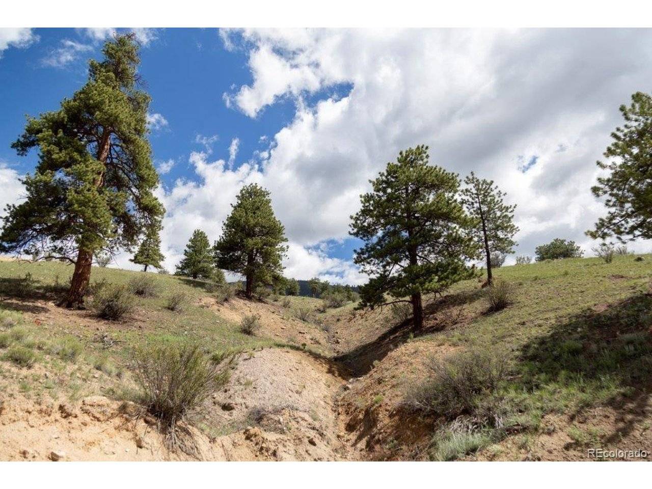Address not disclosed, Creede, CO 81130