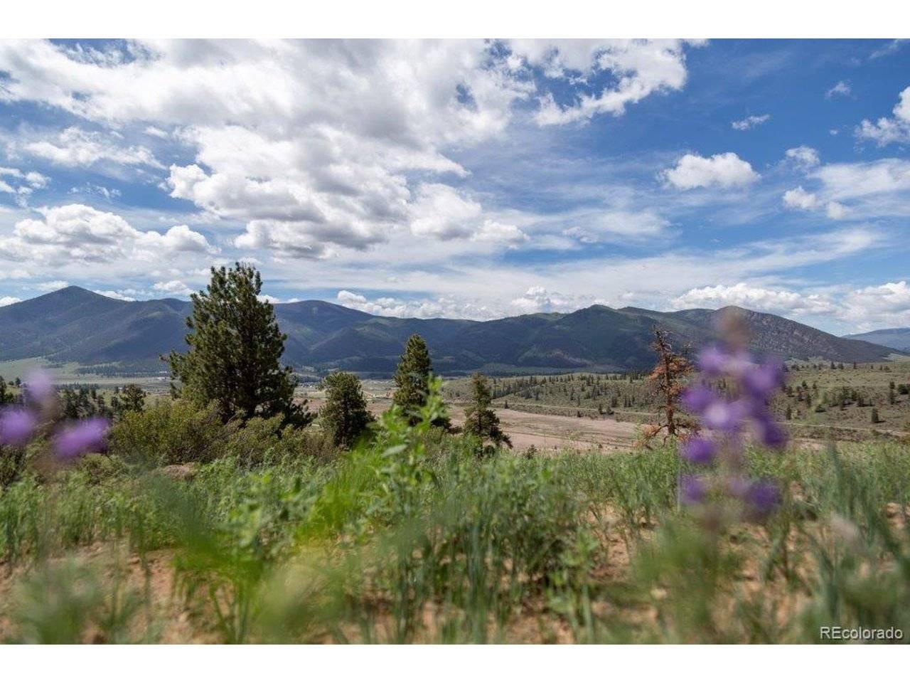 Address not disclosed, Creede, CO 81130