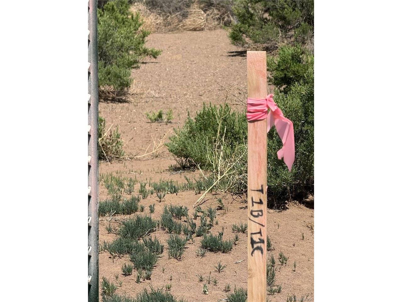 1 Lane 2, Mosca, CO 81146