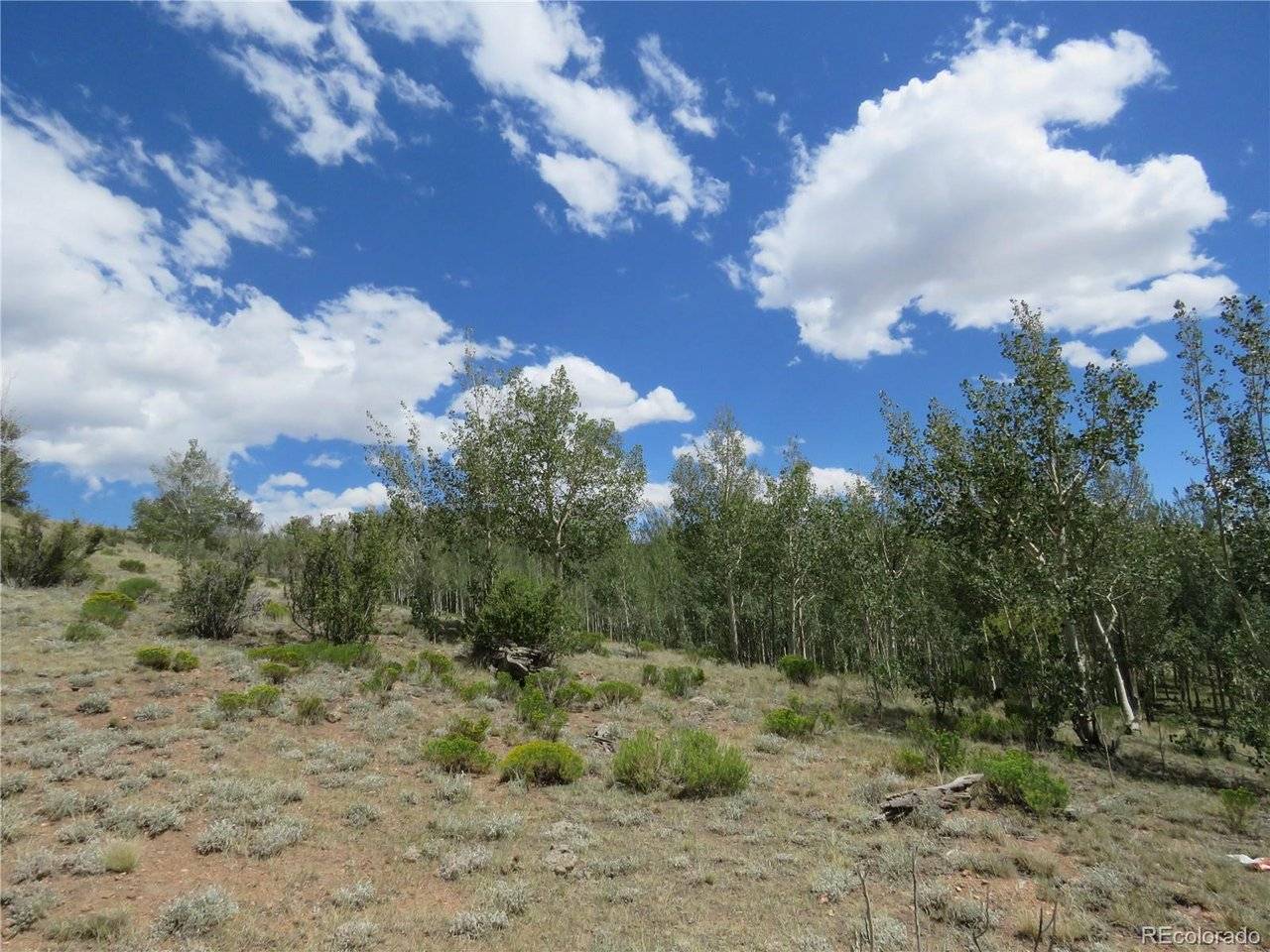 104 Hawk, Jefferson, CO 80456