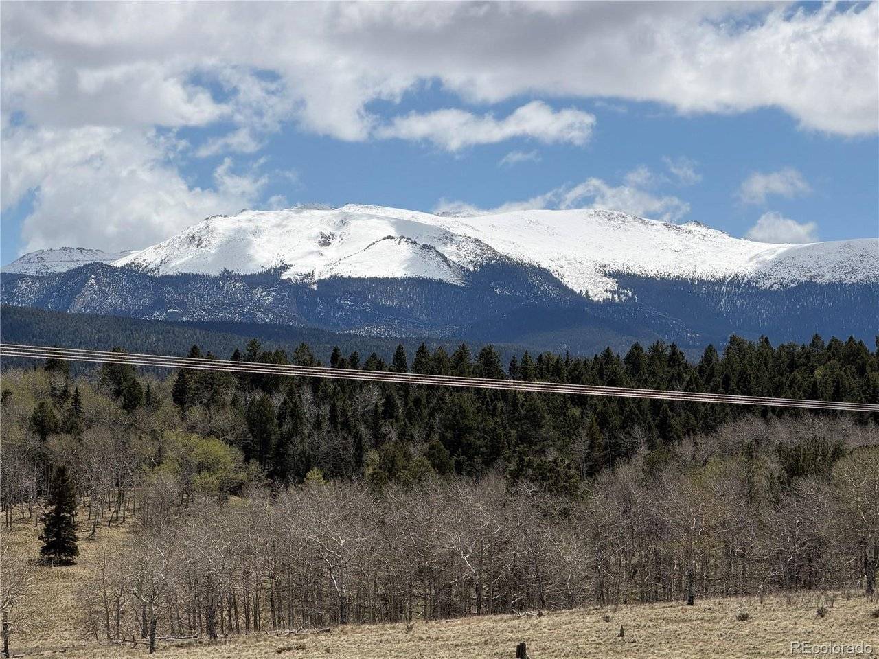 538 Friar Tuck, Divide, CO 80814
