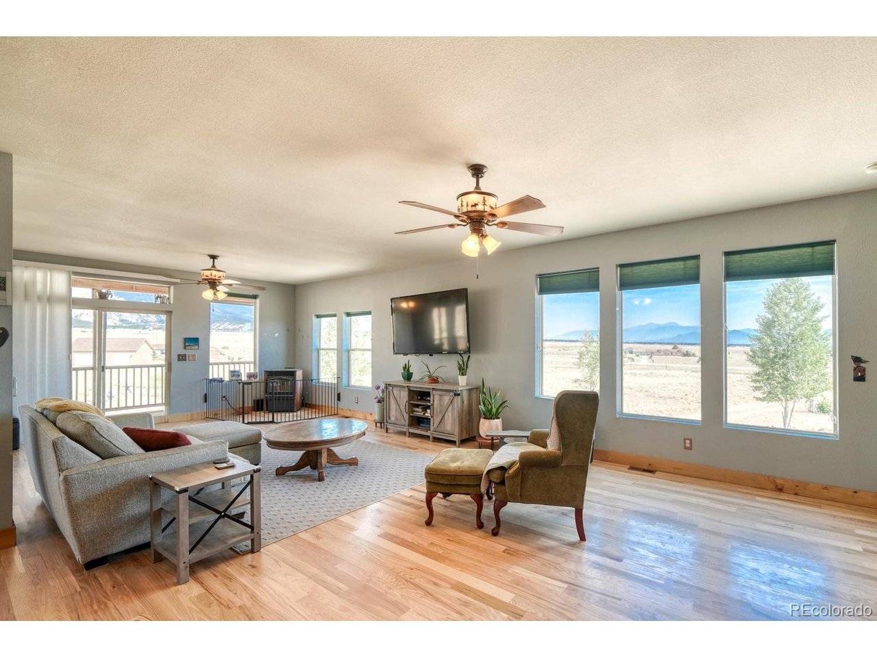 13781 Schoger, Nathrop, CO 81236