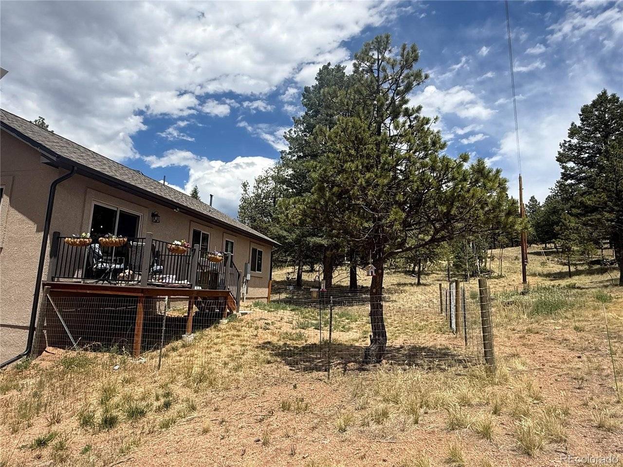 24 Big Horn, Florissant, CO 80816