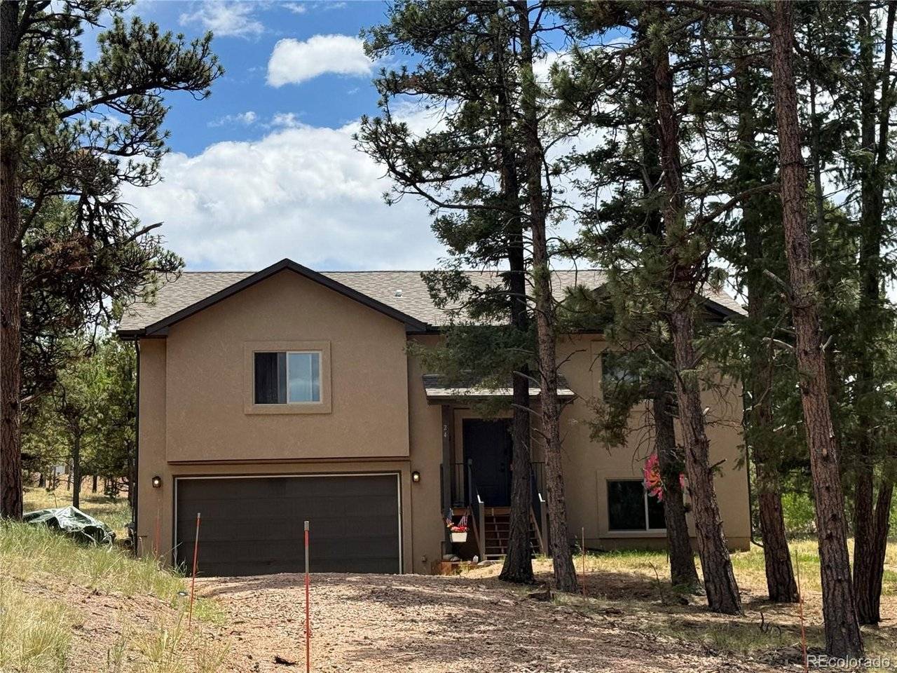 24 Big Horn, Florissant, CO 80816