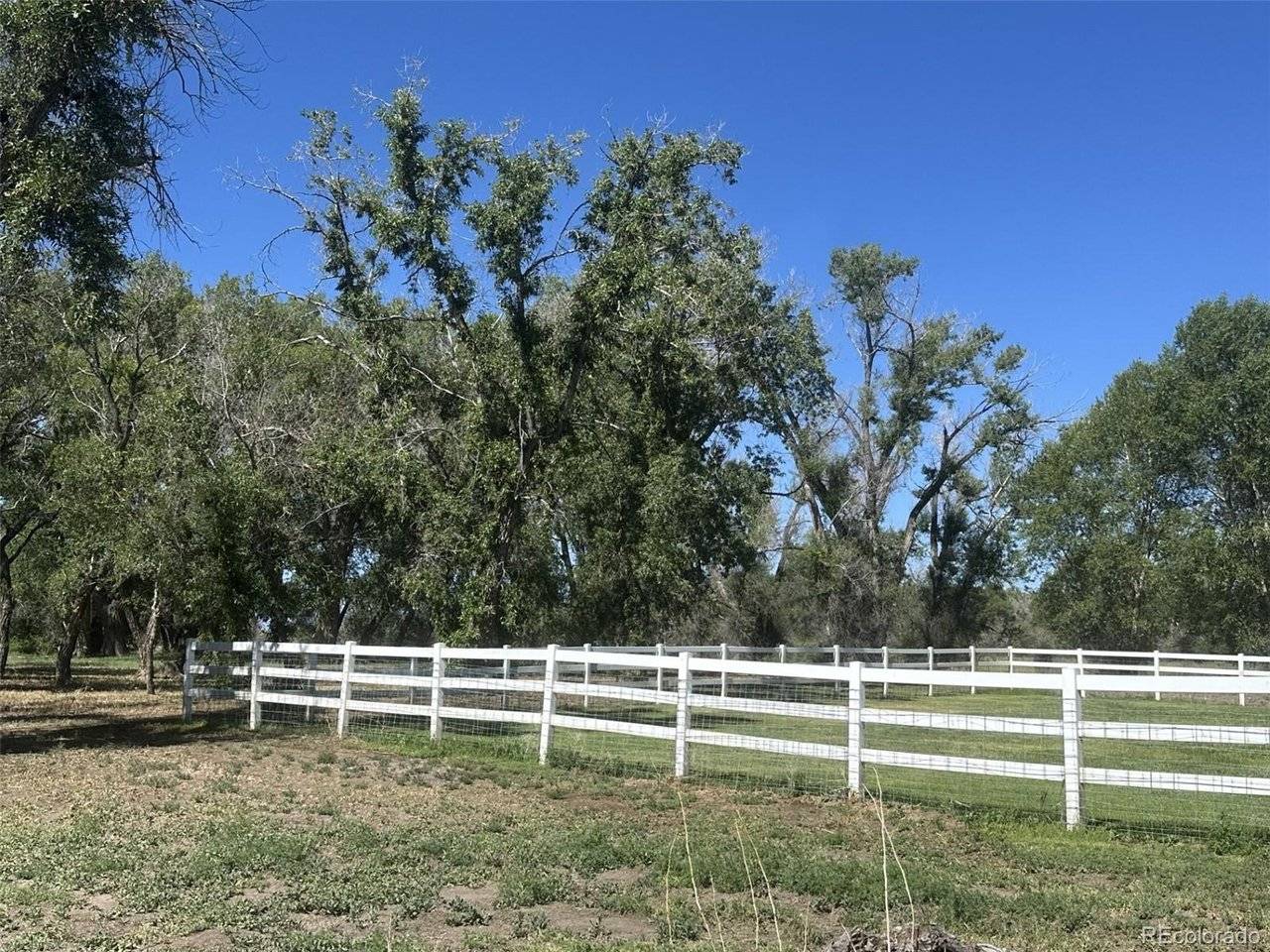 4725 County Road 107, Alamosa, CO 81101