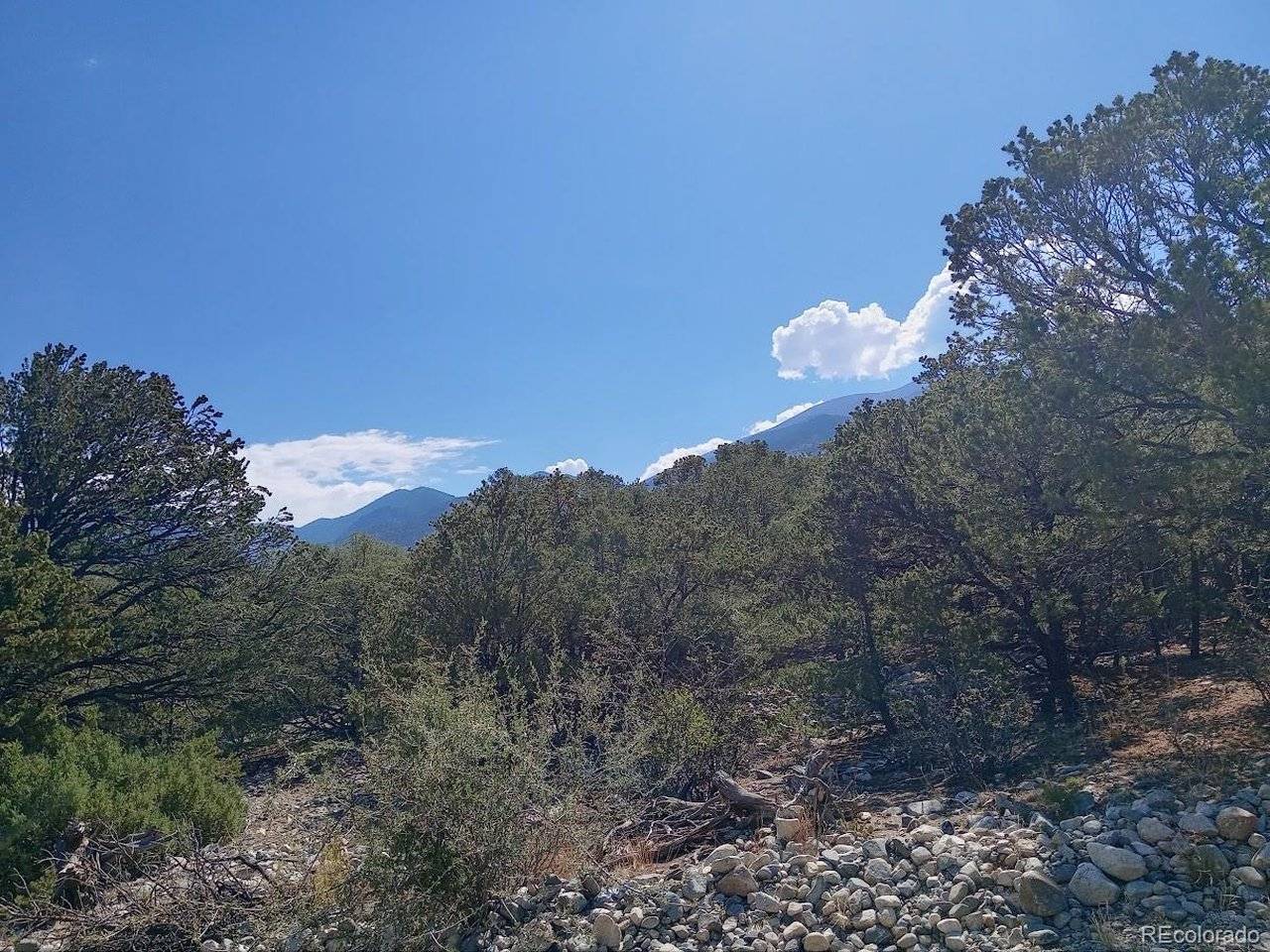 210 Big Bear, Mosca, CO 81146