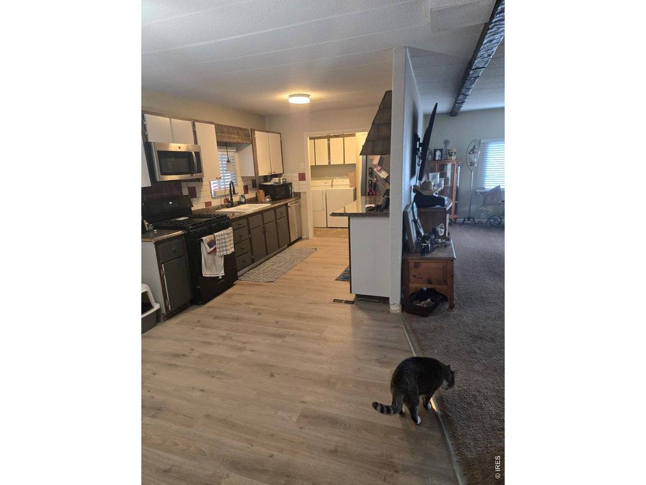 2900 Dove, Denver, CO 80260