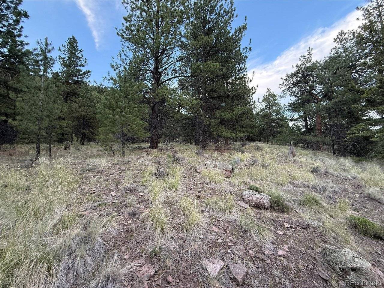 2 Beaver, Antonito, CO 81120