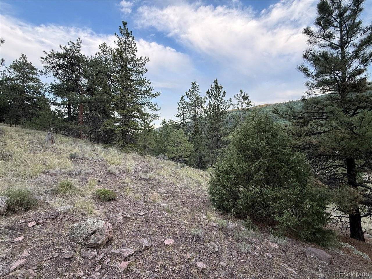 2 Beaver, Antonito, CO 81120