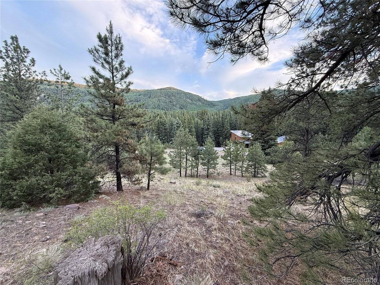 2 Beaver, Antonito, CO 81120