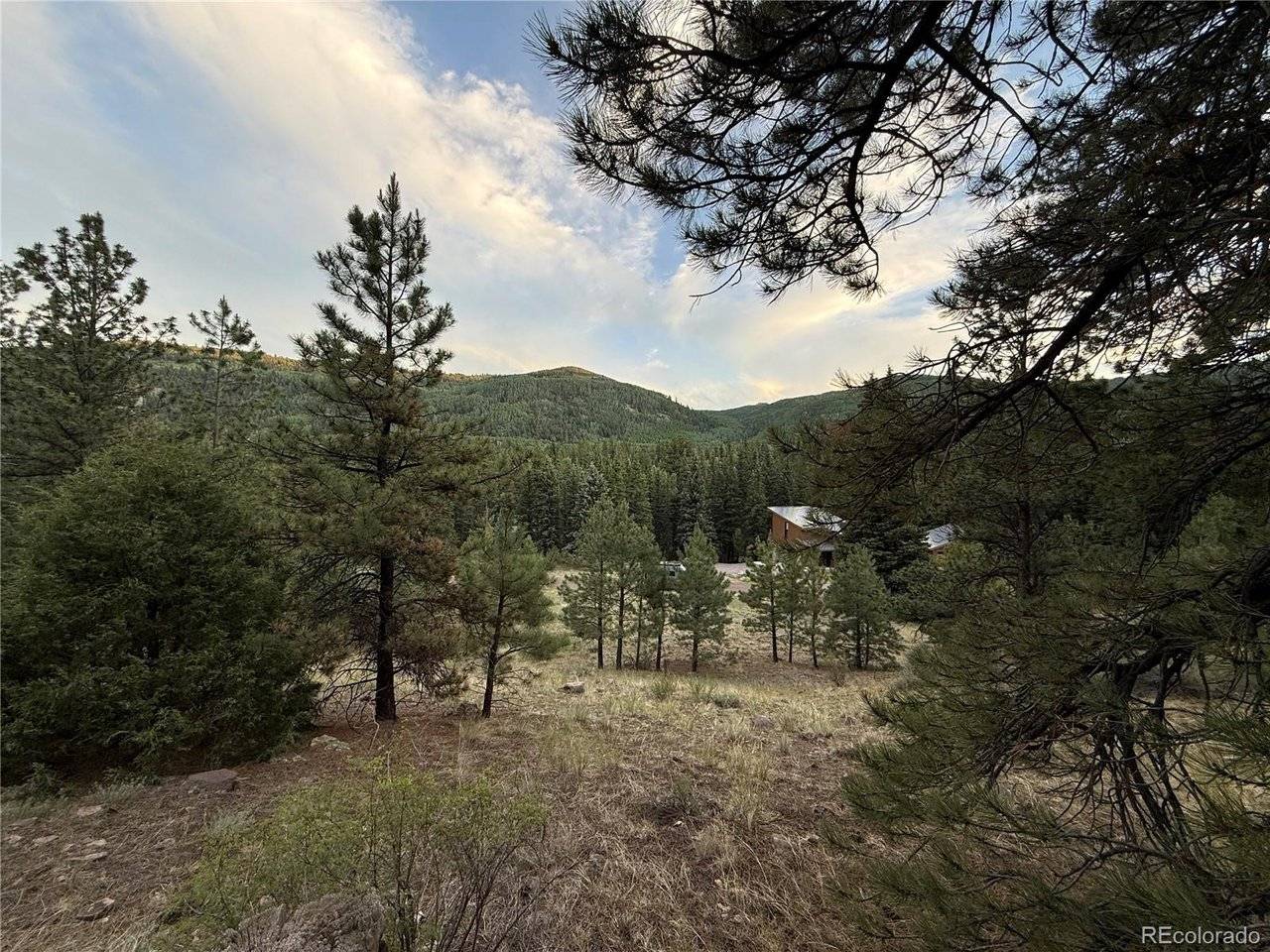 2 Beaver, Antonito, CO 81120