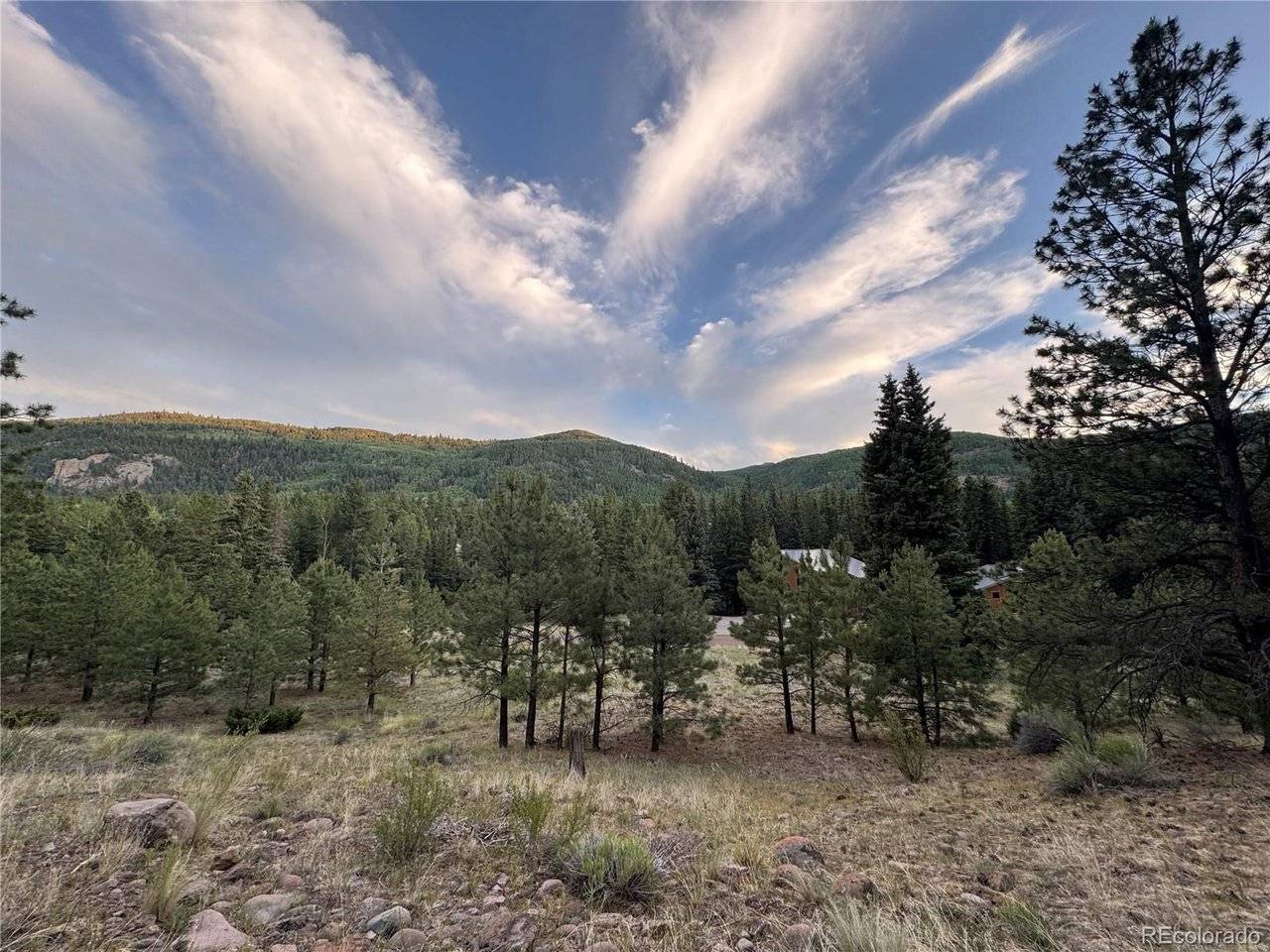2 Beaver, Antonito, CO 81120