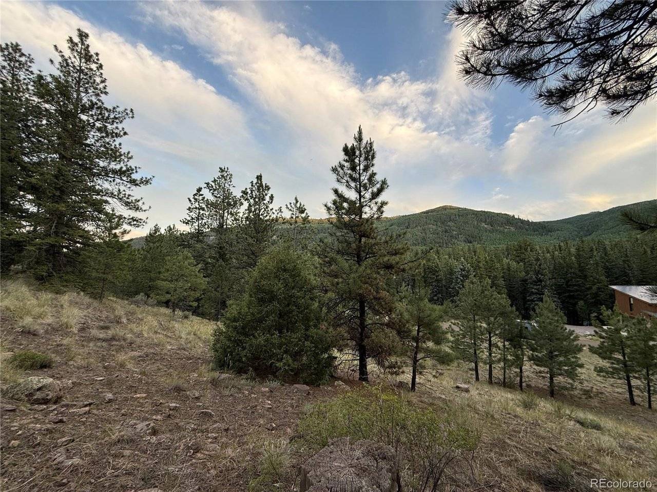 2 Beaver, Antonito, CO 81120