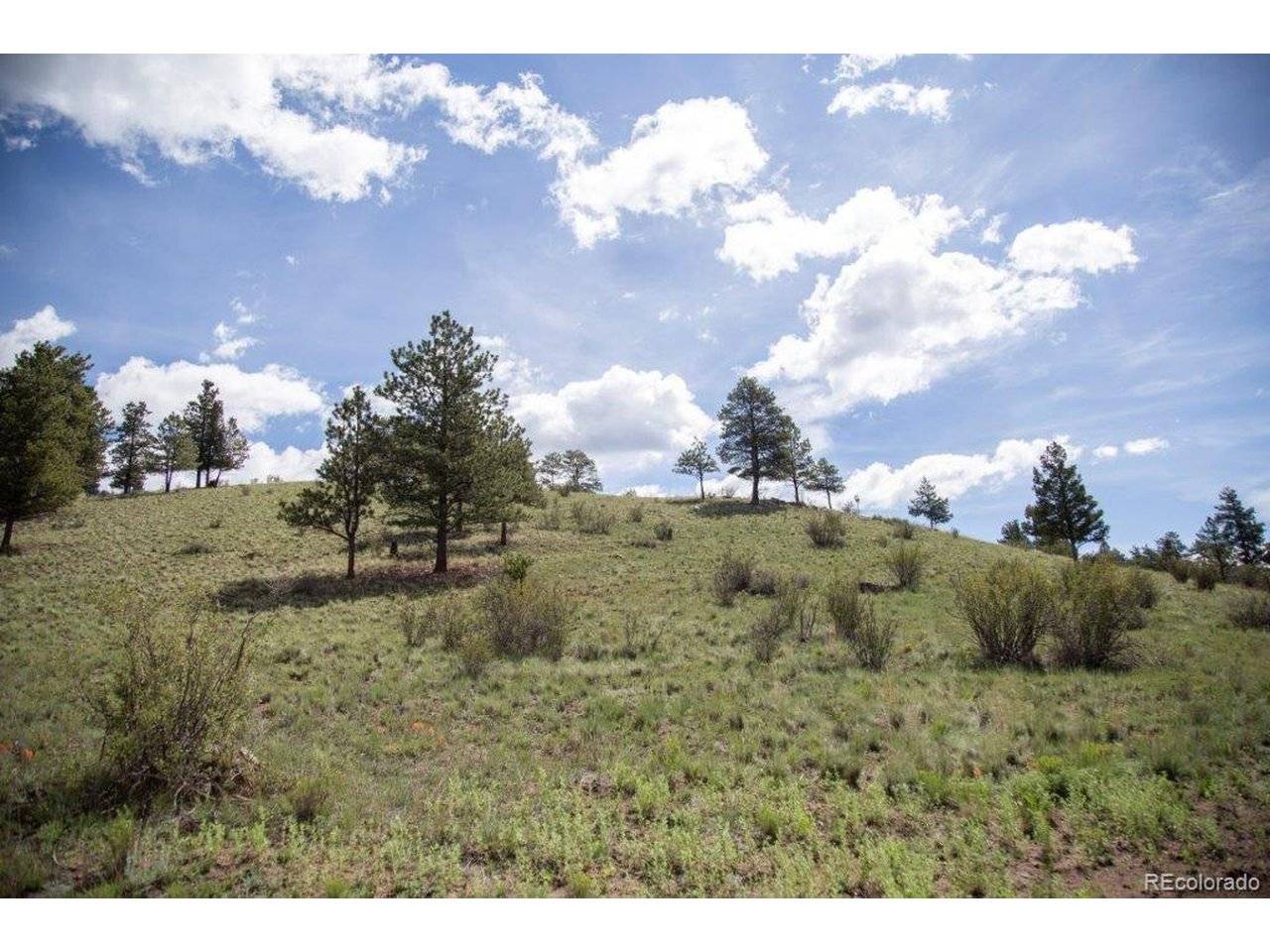 Address not disclosed, Creede, CO 81130