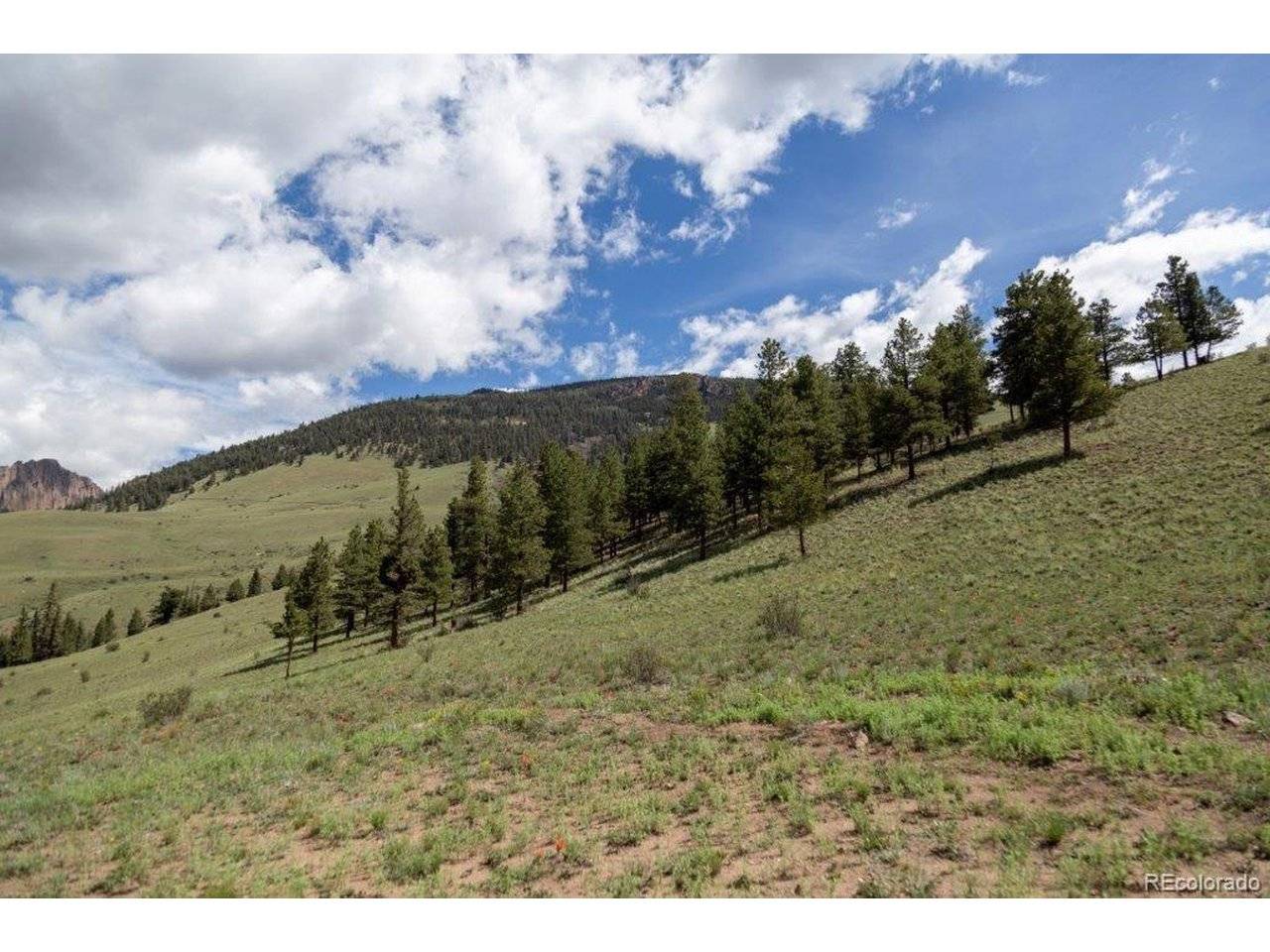 Address not disclosed, Creede, CO 81130